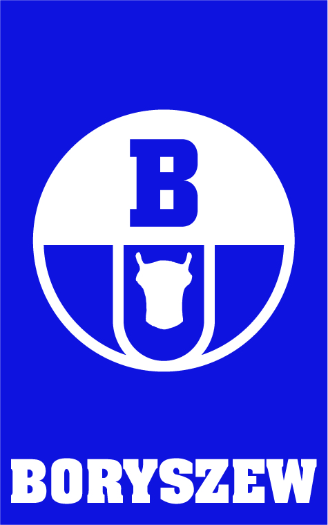boryszew_logo (3)